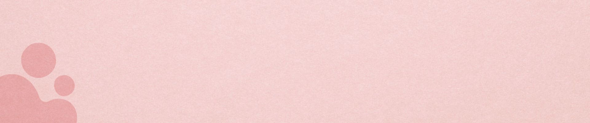 Imagem do banner interno